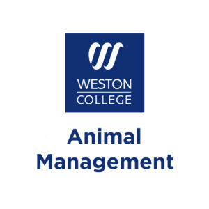 Weston College Animal Management